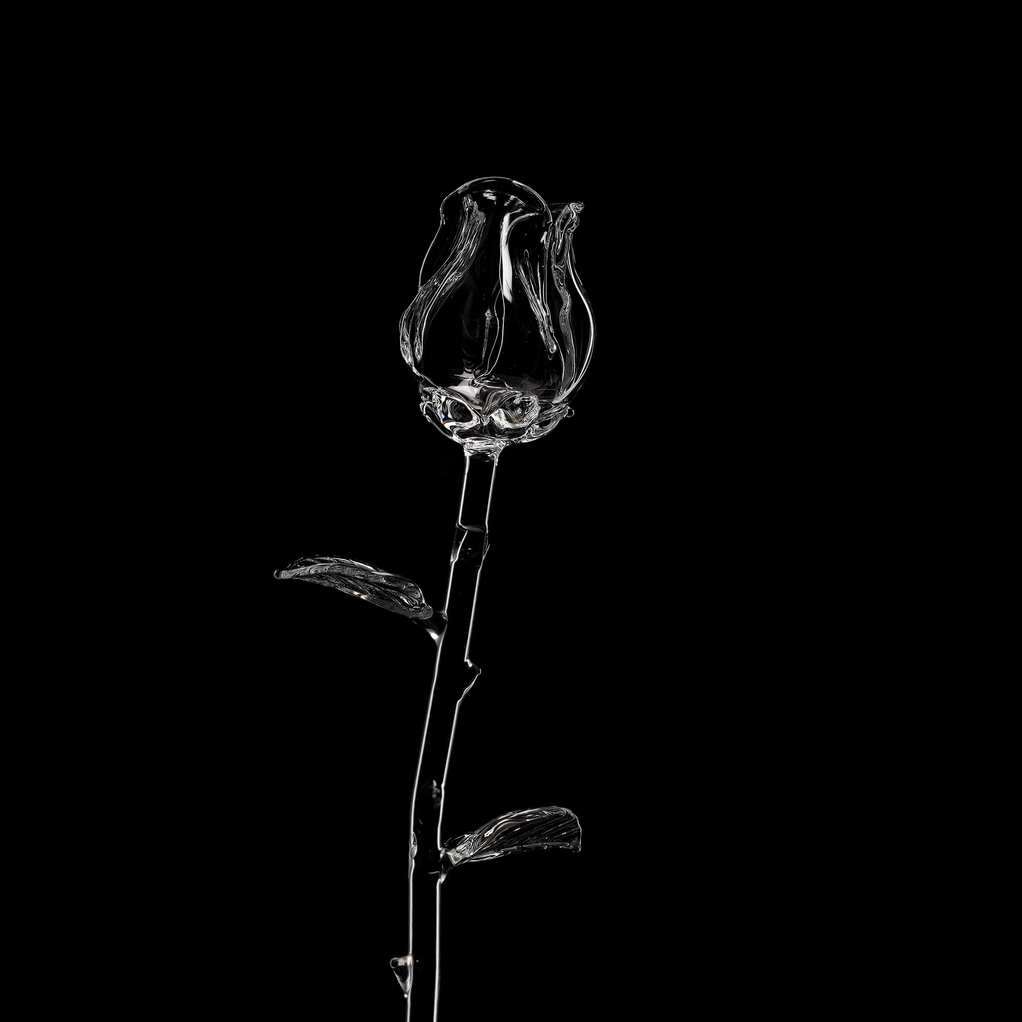 ehle-rose-glasrose-28-cm-4-farben image 4
