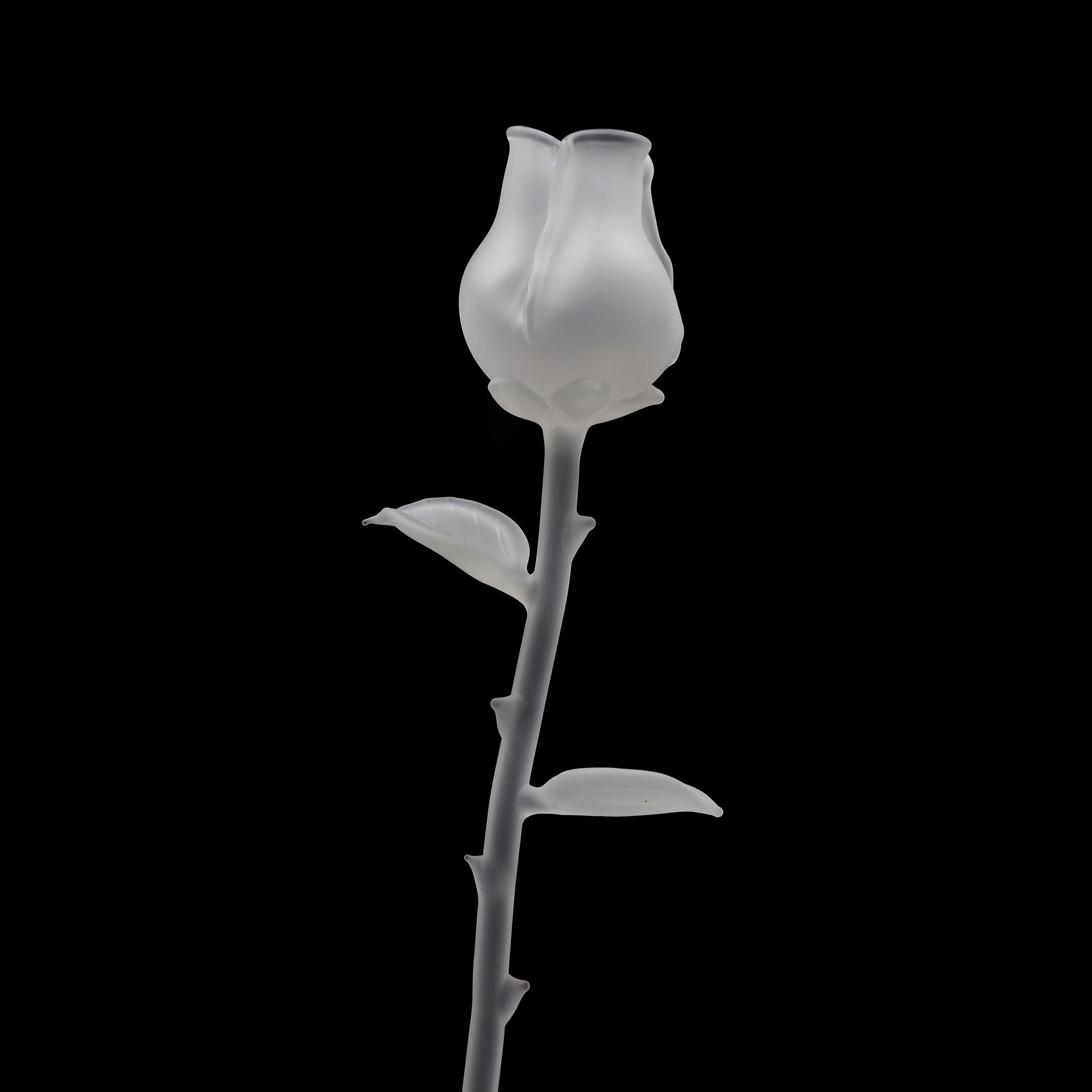 ehle-rose-glasrose-28-cm-4-farben image 7