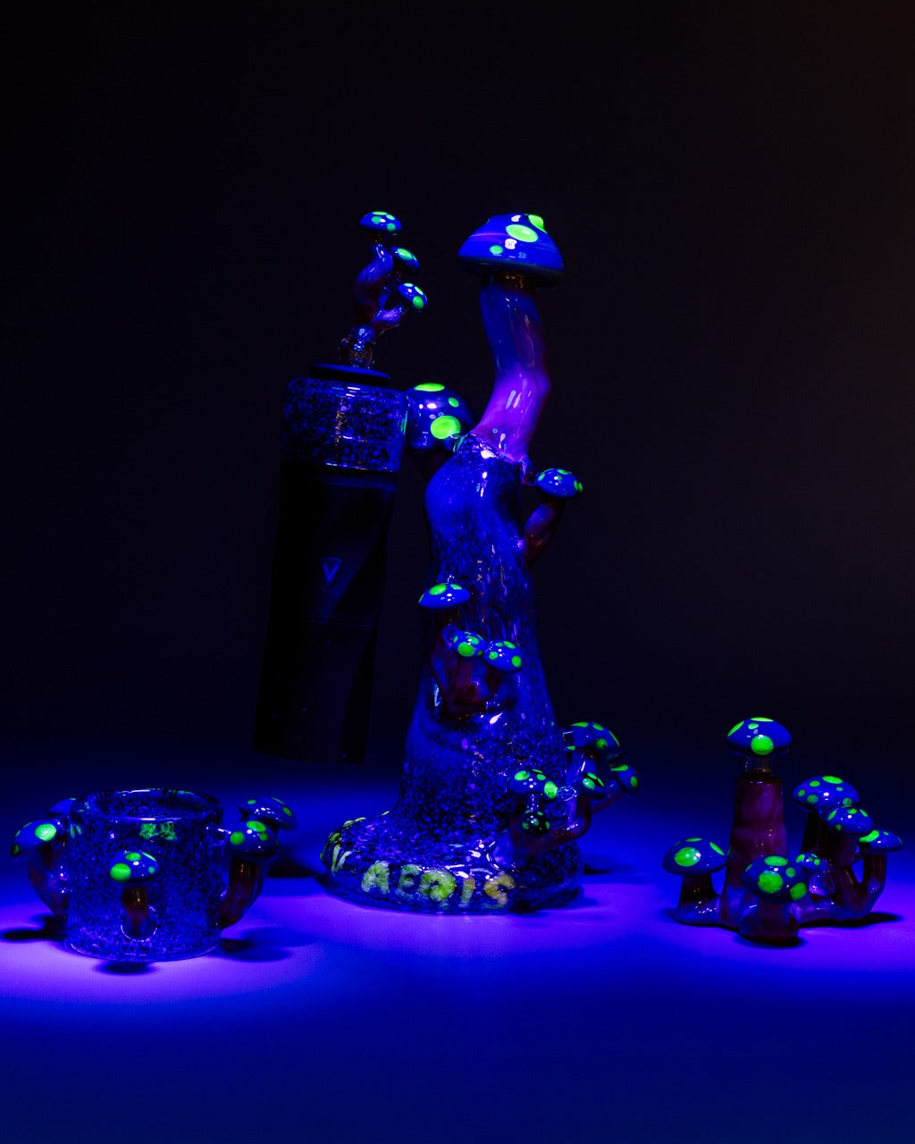 focus-v-biohaz-creations-aeris-entry-glastop-pilz image 2
