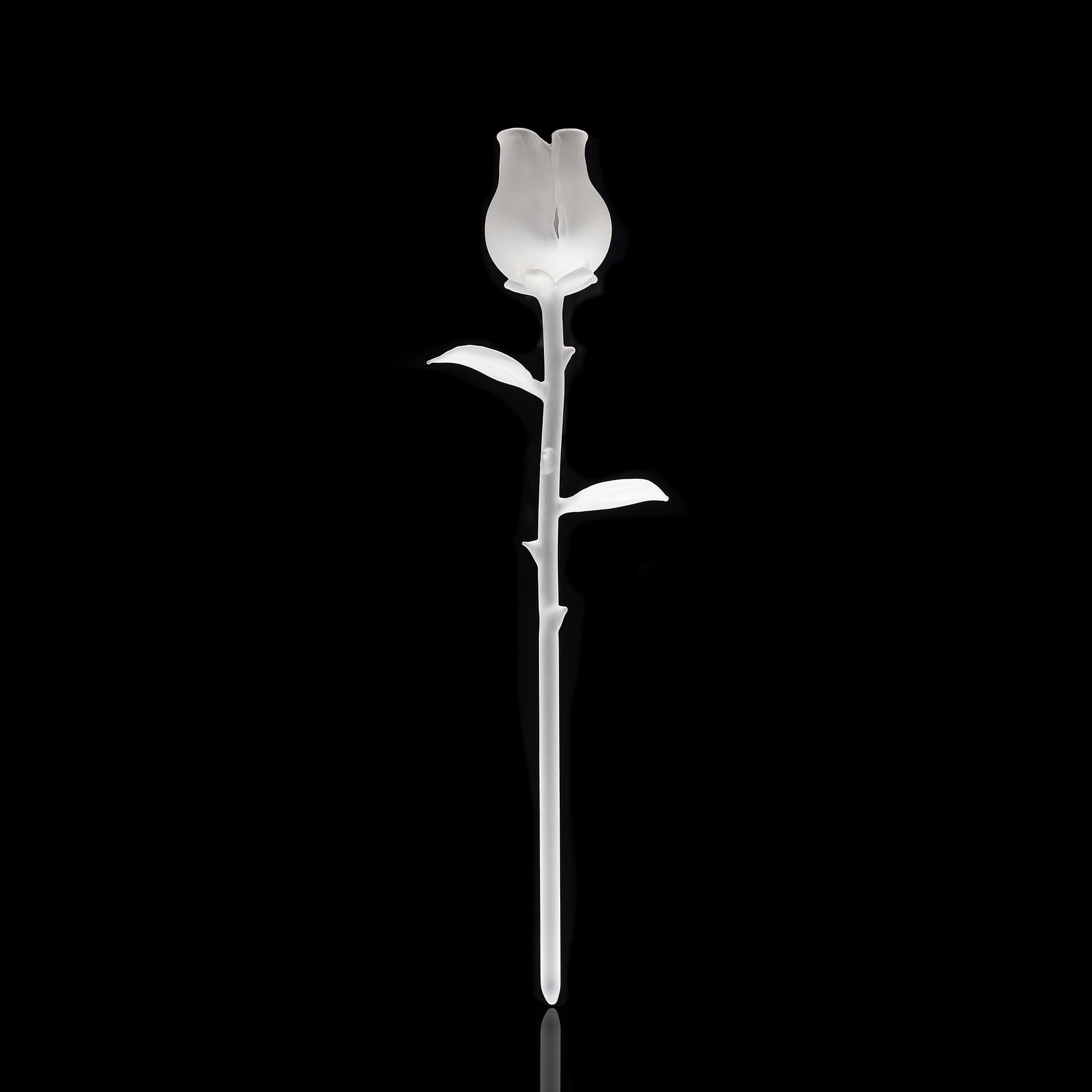 ehle-rose-glasrose-28-cm-4-farben image 5